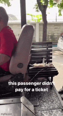 daily gifdump 47 gifs 1.html - 1 HD GIF | Premium Gallery 2026