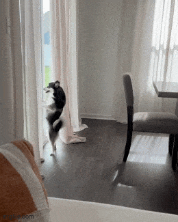 daily gifdump 47 gifs 1.html - 1 HD GIF | Premium Gallery 2026