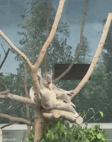 daily gifdump 47 gifs 1.html - 1 HD GIF | Premium Gallery 2026