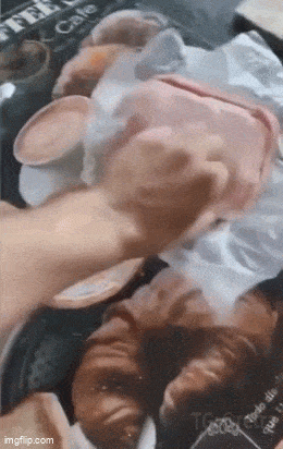daily gifdump 47 gifs 1.html - 1 HD GIF | Premium Gallery 2026