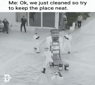 daily gifdump 47 gifs 1.html - 1 HD GIF | Premium Gallery 2026