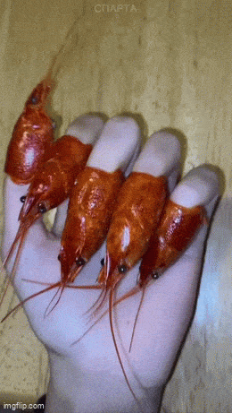 daily gifdump 47 gifs 1.html - 1 HD GIF | Premium Gallery 2026