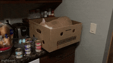 daily gifdump 47 gifs 1.html - 1 HD GIF | Premium Gallery 2026