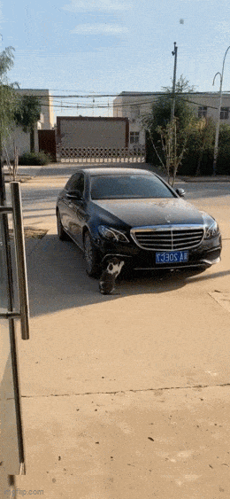daily gifdump 47 gifs 1.html - 1 HD GIF | Premium Gallery 2026