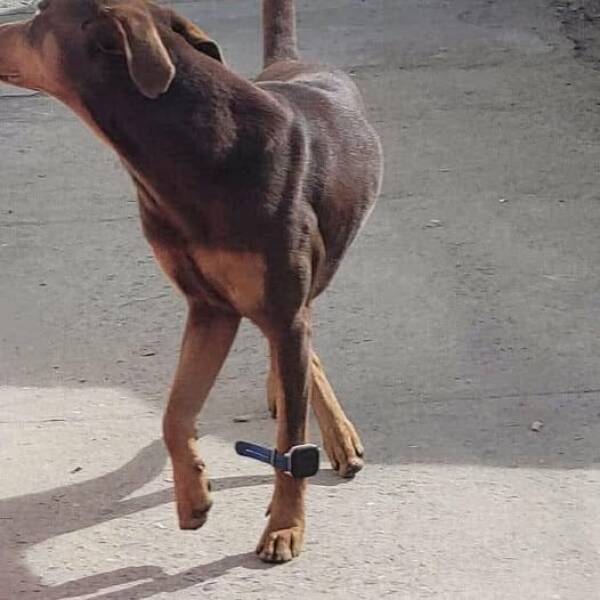 daily picdump 41 pics 15.html - 41 HD Photos | Premium Gallery 2026