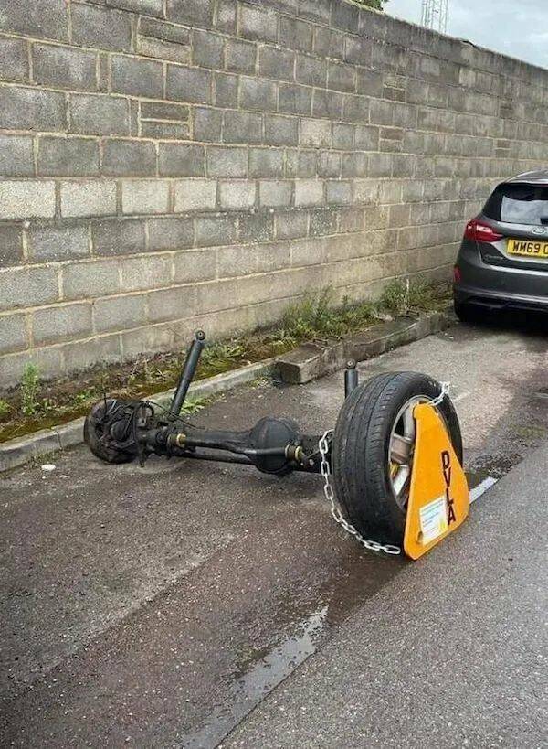 daily picdump 41 pics 15.html - 41 HD Photos | Premium Gallery 2026