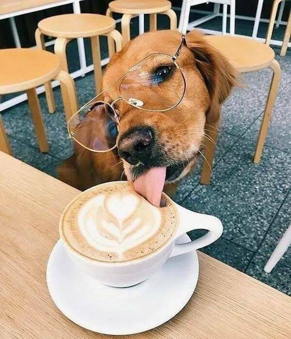 daily picdump 41 pics 15.html - 41 HD Photos | Premium Gallery 2026
