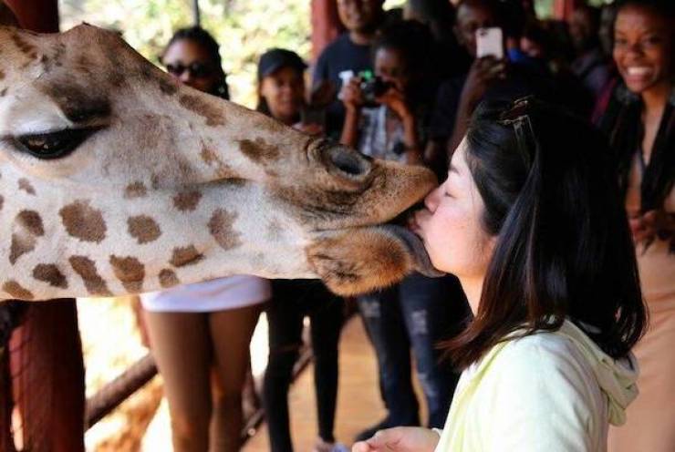 daily picdump 36 pics 1.html - 36 HD Photos | Premium Gallery 2026