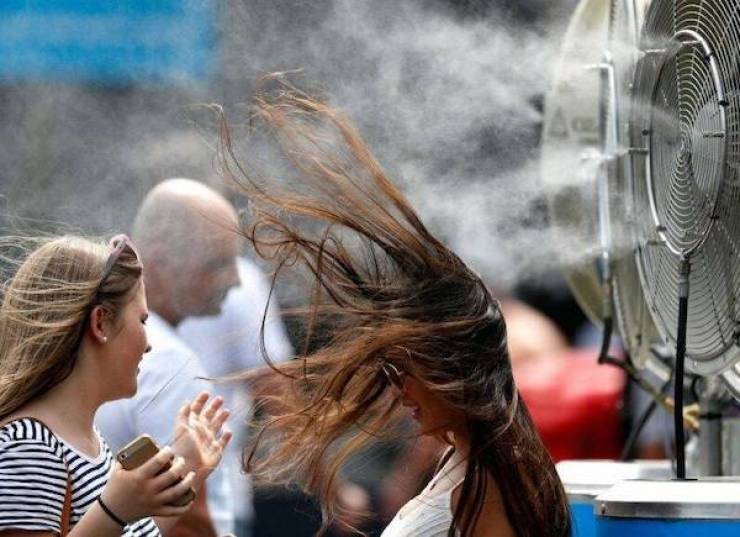 daily picdump 36 pics 1.html - 36 HD Photos | Premium Gallery 2026