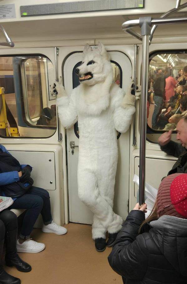 daily picdump 36 pics 1.html - 36 HD Photos | Premium Gallery 2026