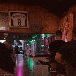 Daily Gifdump