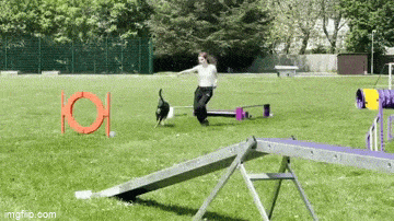 daily gifdump 48 gifs 1.html - 1 HD GIF | Premium Gallery 2026