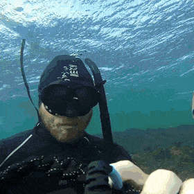 daily gifdump 48 gifs 1.html - 1 HD GIF | Premium Gallery 2026