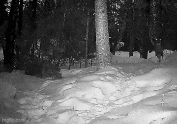 daily gifdump 48 gifs 1.html - 1 HD GIF | Premium Gallery 2026