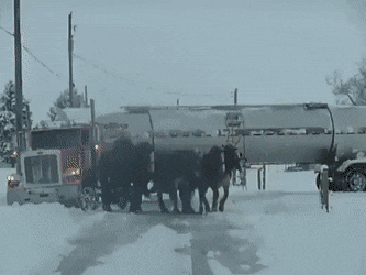 daily gifdump 48 gifs 1.html - 1 HD GIF | Premium Gallery 2026