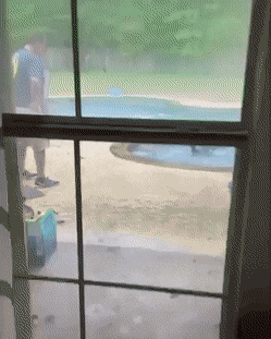 daily gifdump 48 gifs 1.html - 1 HD GIF | Premium Gallery 2026