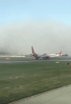 daily gifdump 48 gifs 1.html - 1 HD GIF | Premium Gallery 2026