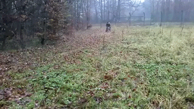 daily gifdump 48 gifs 1.html - 1 HD GIF | Premium Gallery 2026