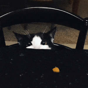 daily gifdump 48 gifs 1.html - 1 HD GIF | Premium Gallery 2026