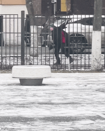 daily gifdump 48 gifs 1.html - 1 HD GIF | Premium Gallery 2026