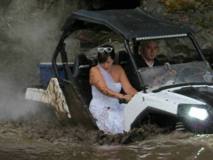 Daily Picdump