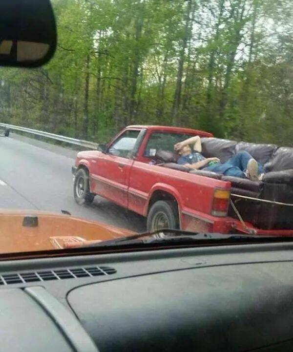 Daily Picdump