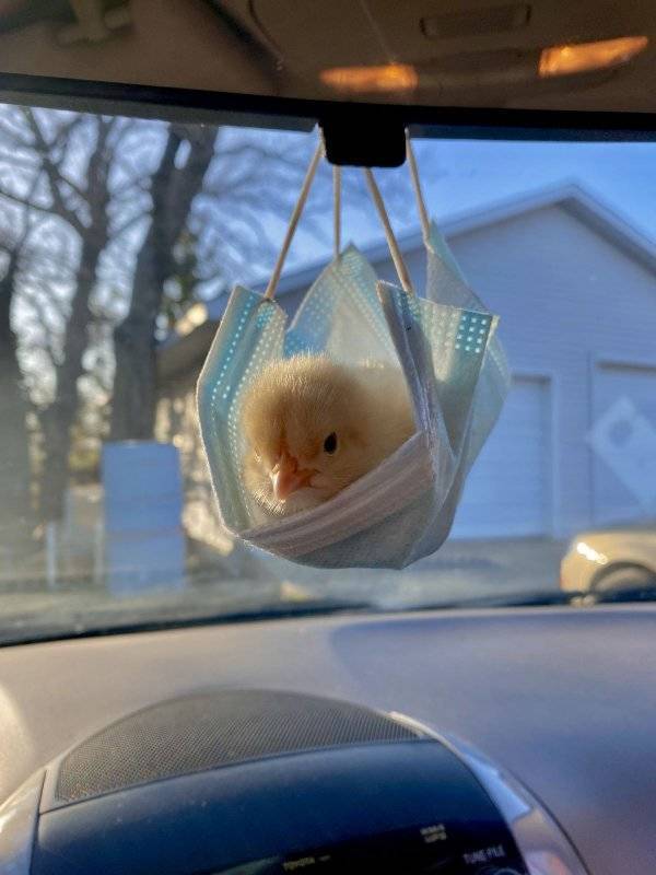 Daily Picdump