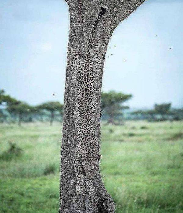 daily picdump 31 pics 1.html - 31 HD Photos | Premium Gallery 2026