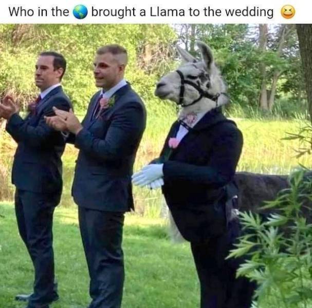 Beer-a-FULL memes for day Drinking