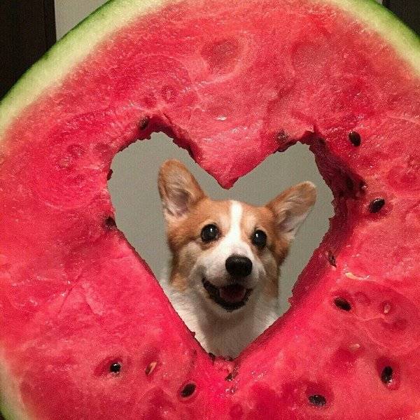 daily picdump 35 pics 10.html - 35 HD Photos | Premium Gallery 2026