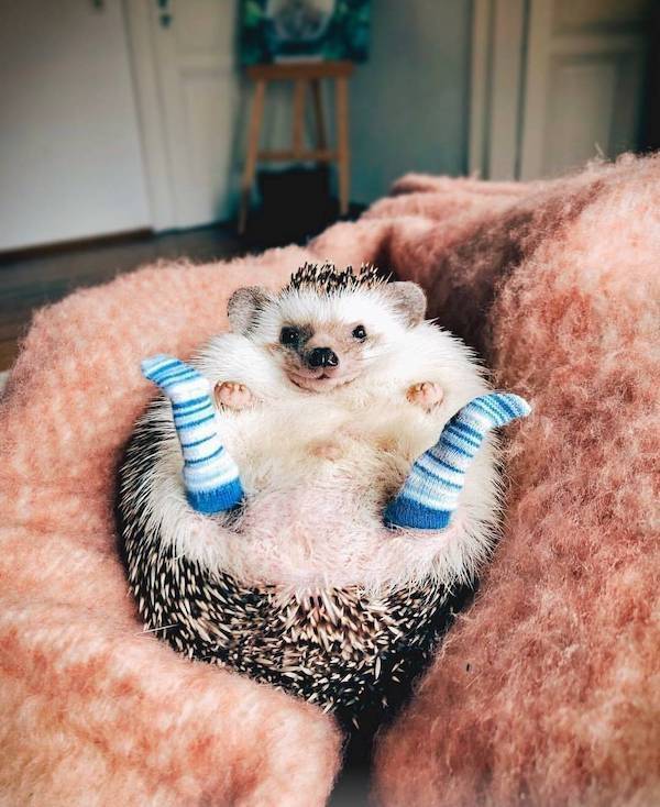 daily picdump 35 pics 10.html - 35 HD Photos | Premium Gallery 2026