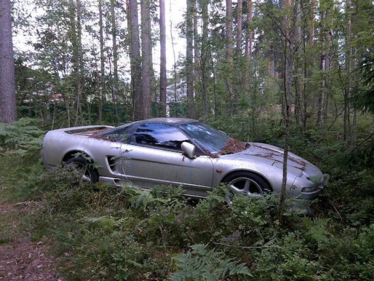 daily picdump 45 pics 1.html - 45 HD Photos | Premium Gallery 2026