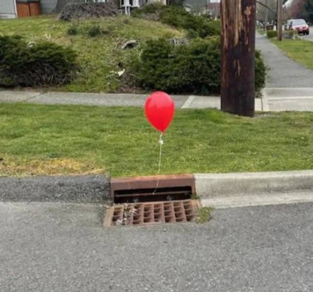daily picdump 42 pics 21.html - 42 HD Photos | Premium Gallery 2026