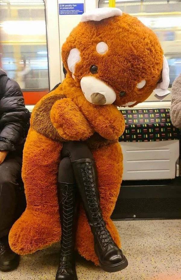 Daily Picdump