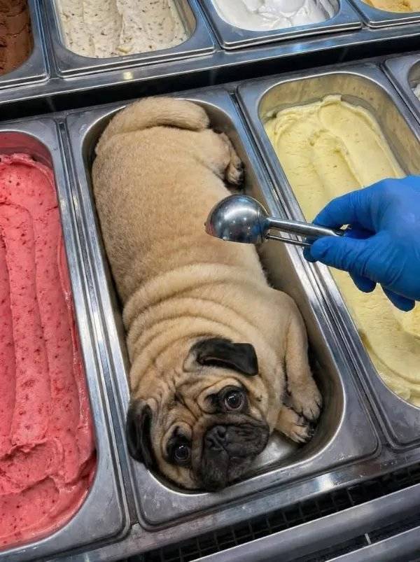 daily picdump 42 pics 21.html - 42 HD Photos | Premium Gallery 2026