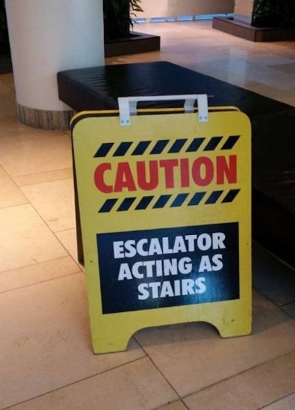 daily picdump 42 pics 21.html - 42 HD Photos | Premium Gallery 2026