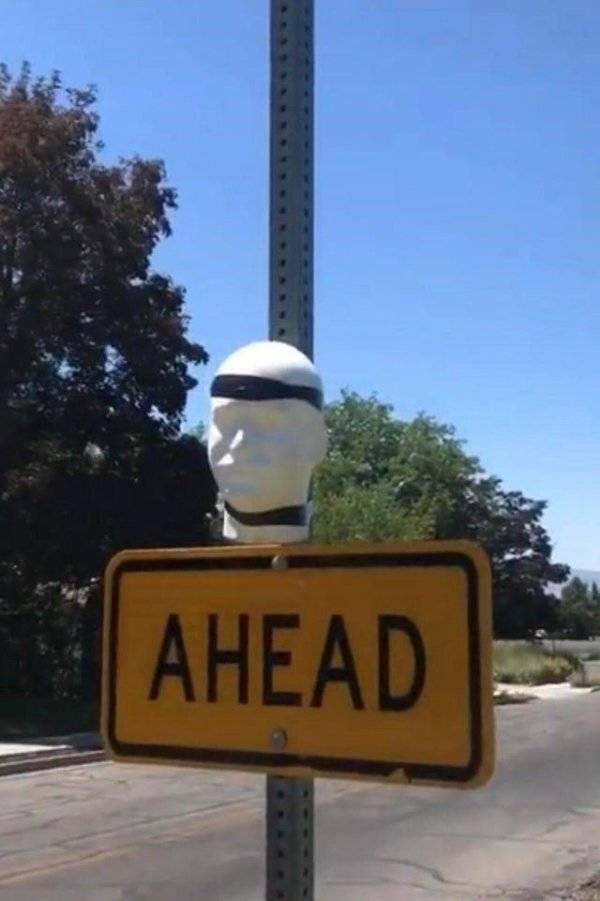 daily picdump 42 pics 21.html - 42 HD Photos | Premium Gallery 2026