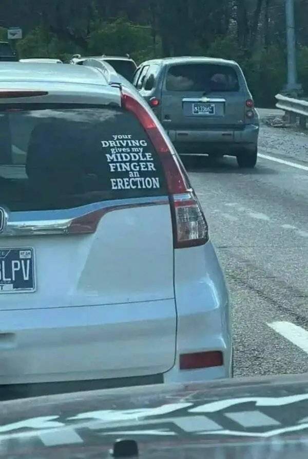 daily picdump 42 pics 21.html - 42 HD Photos | Premium Gallery 2026