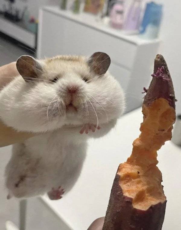 Daily Picdump