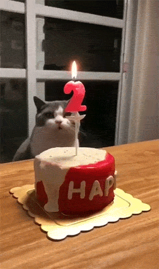 Daily Gifdump