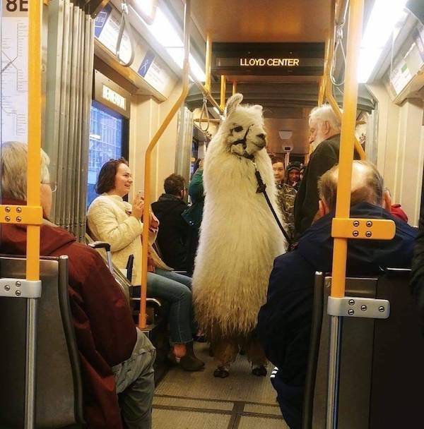 Daily Picdump