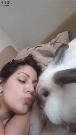 Daily Gifdump