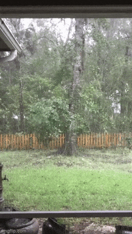daily gifdump 40 gifs 2.html - 1 HD GIF | Premium Gallery 2026