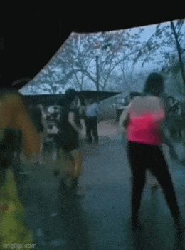 daily gifdump 40 gifs 2.html - 1 HD GIF | Premium Gallery 2026