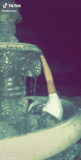 daily gifdump 40 gifs 2.html - 1 HD GIF | Premium Gallery 2026