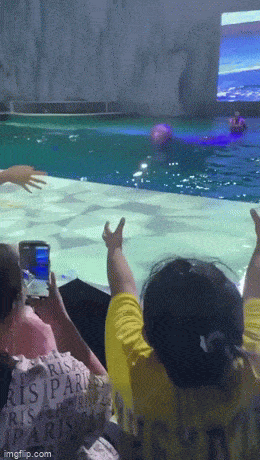 daily gifdump 40 gifs 2.html - 1 HD GIF | Premium Gallery 2026