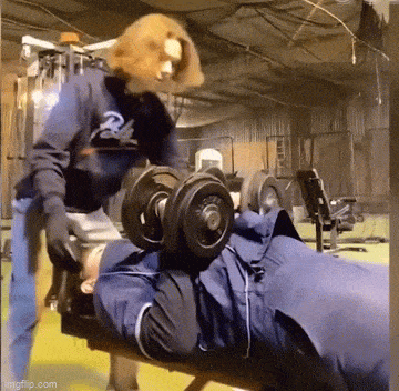 daily gifdump 40 gifs 2.html - 1 HD GIF | Premium Gallery 2026