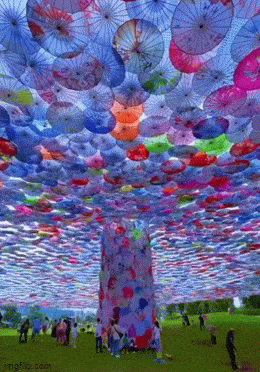 daily gifdump 40 gifs 2.html - 1 HD GIF | Premium Gallery 2026
