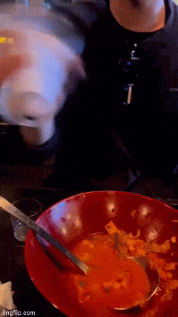 daily gifdump 40 gifs 2.html - 1 HD GIF | Premium Gallery 2026