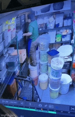 daily gifdump 40 gifs 2.html - 1 HD GIF | Premium Gallery 2026